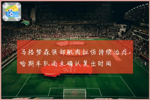 马格努森颈部肌肉拉伤持续治疗，哈斯车队尚未确认复出时间